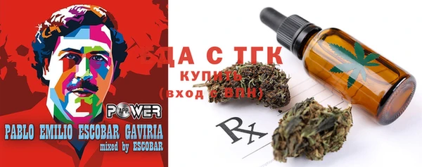 индика Абинск