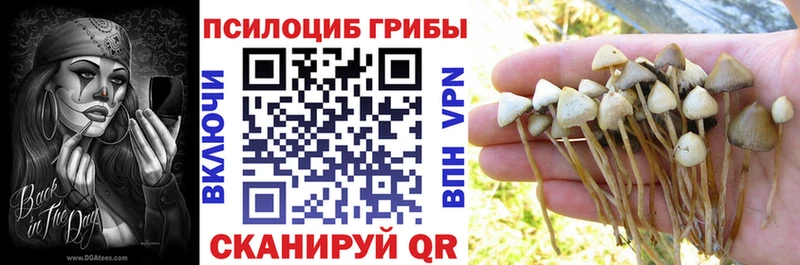 Псилоцибиновые грибы прущие грибы  shop как зайти  Абаза 